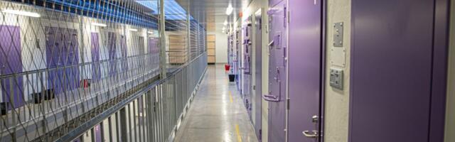 В Таллиннской тюрьме вновь произошла драка