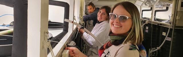 Проблему микропластика в Балтийском море недооценивают