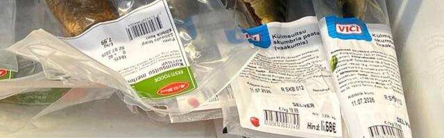 Скумбрия за 20 евро: почему привычная рыба теперь стала деликатесом? 