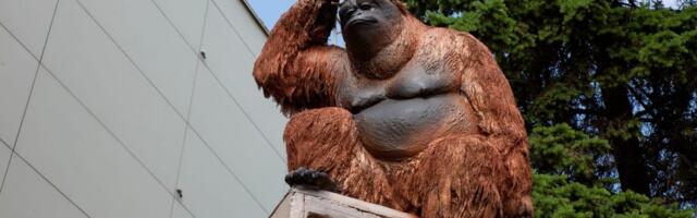 ФОТО | В центре Вильнюса появилась необычная скульптура