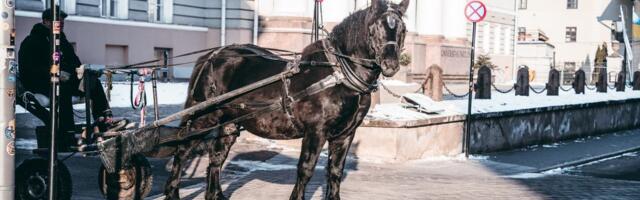 В демонстрационной зоне биоразнообразия Маарьявялья начинаются работы