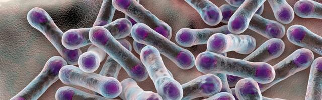 В Литве от дифтерии умер 26-летний юноша. А что в Эстонии?