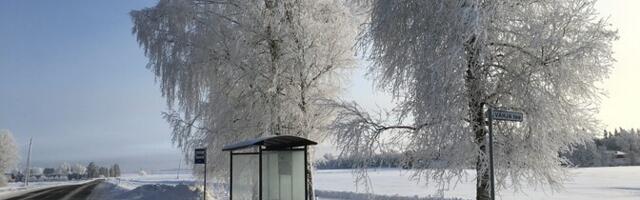 Зимы в Эстонии становятся все мягче под влиянием западных ветров