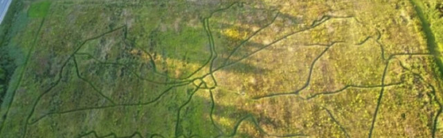 ВИДЕО | В Латвии создали необычную карту, по которой можно ходить