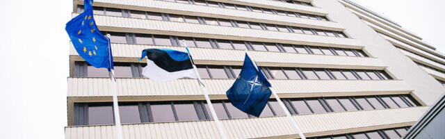 Грузинский депутат хочет судиться с Эстонией и Литвой из-за введенных против нее санкций