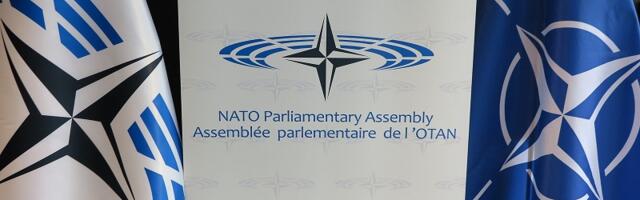 Делегаты ПА НАТО знакомятся в Таллинне с ситуацией в области безопасности и гибридными угрозами