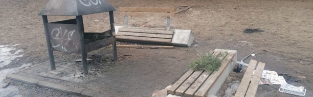 Сломали скамейки, испортили инвентарь: управа Мустамяэ просит помощи в установлении личности вандалов