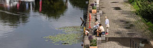 ФОТО | После несчастного случая на набережной горуправа приняла меры