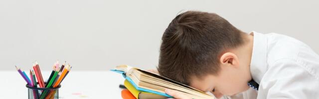 Что показал первый год перехода на эстонский язык обучения и готовы ли дети и родители к новому учебному году?