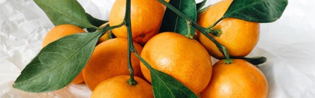 Чем эстонцы запасались к праздникам и в каких количествах: топ продуктов и подарков