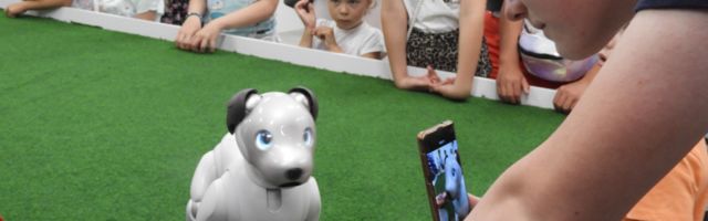 Нарву захватили роботы