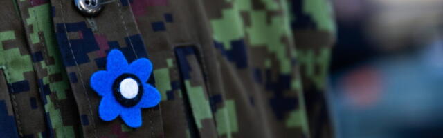 Vooglaid: «Sinilill» — kas patriotismi žest või vasalli lojaalsusmärk?