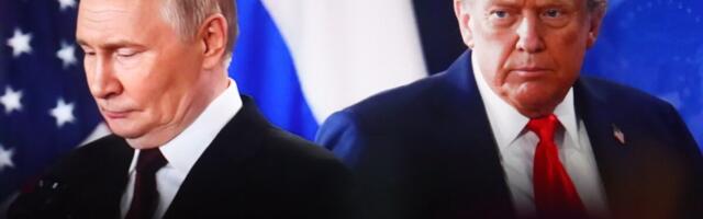 «Третья мировая война из-за Украины не начнется». Трамп намерен встретиться с Путиным