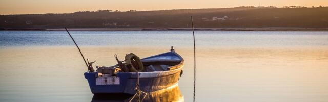 Без права на лов. Почему новые ограничения рыбаки считают несправедливыми, а государство – необходимыми?