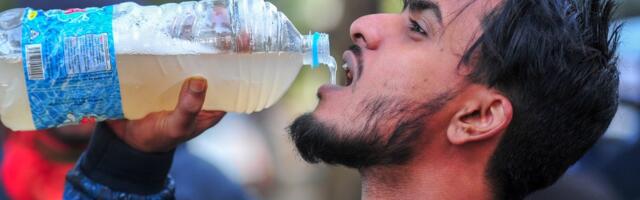 В Индии вспышка смертельно опасного вируса Нипах. Вакцины от него нет. Насколько реальна угроза для Эстонии?