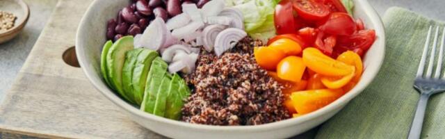 Гарвардская тарелка: что это, метод для похудения, меню здорового питания, примеры