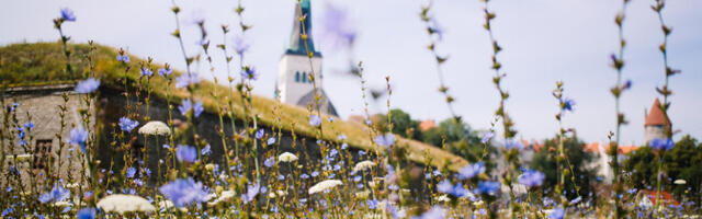 В субботу воздух прогреется до 26 градусов