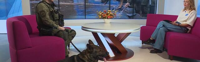 США наградили эстонских специалистов, помогавших в поиске американского военного в Литве