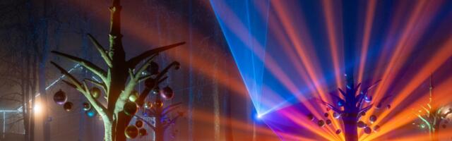 Световое шоу на крыше замка и гора с тысячью огнями: в Эстонии откроется «Зимняя страна чудес»