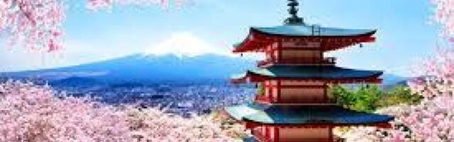 «Угрожает спокойной жизни горожан». В Японии отменили фестиваль цветения сакуры — из-за плохого поведения туристов