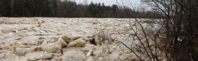 Угроза наводнения в Плявиняс оценивается с осторожным оптимизмом