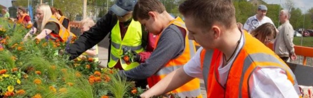 В День Таллина жители города высадили несколько тысяч прекрасных цветов