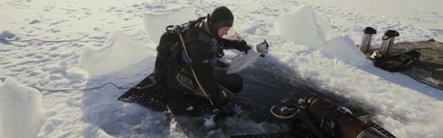 Желающие заниматься подледным дайвингом должны получить специальную лицензию