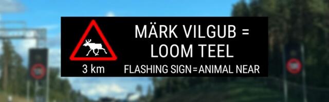 Осторожно: осенью на дороги часто выбегают дикие животные