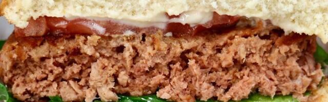 Европарламент поддержал запрет связанных с мясом терминов в названиях вегетарианских продуктов