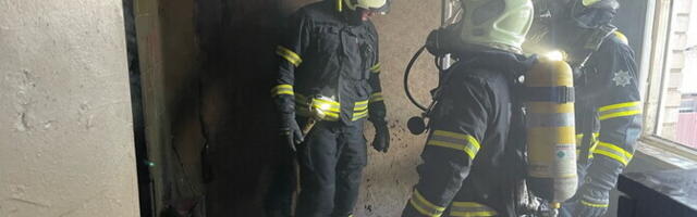 При пожаре в Ласнамяэ погибли две кошки