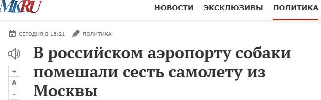 В России убивают негров ни за что, ни про что. Захарова опять заявила с бодуна. Явно подкупленные украинцами надымские собаки не дали сесть московскому самолёту. «Коос» зовёт всех в баню