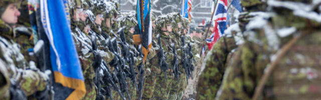 В Эстонии чтят память павших в Освободительной войне — в Нарве проходит военное построение