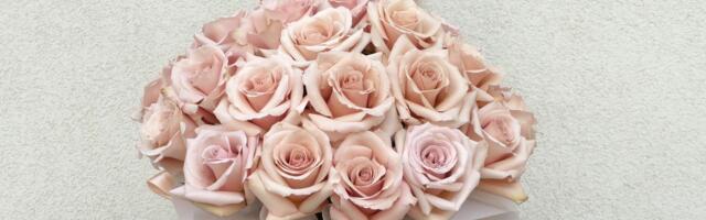 Какие есть сорта роз?