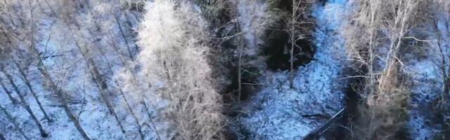 Суд приостановил работы по восстановлению болот в Кикепера