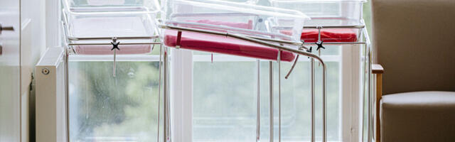 Итоги года в демографии: новый антирекорд рождаемости