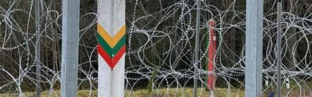 Поляк с лестницами и деньгами на литовско-белорусской границе