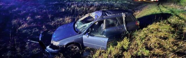 ФОТО: на шоссе Таллинн – Нарва автомобиль сбил лося, которого затем переехали еще четыре машины