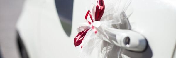 Нелегальных иммигрантов перевозили в поддельных полицейских и свадебных машинах