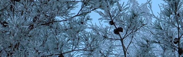 В четверг переменная облачность, местами возможен снег, -10..-15