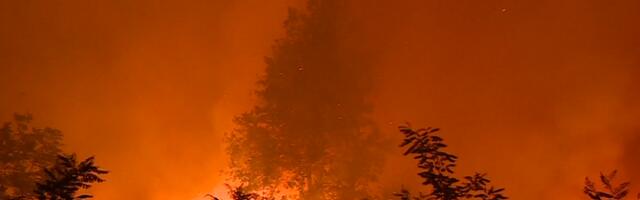 Португалия борется с крупными лесными пожарами