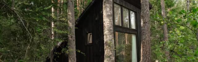 Секретное убежище у Вируского болота: простая с виду будка оказывается уютным домиком для отдыха