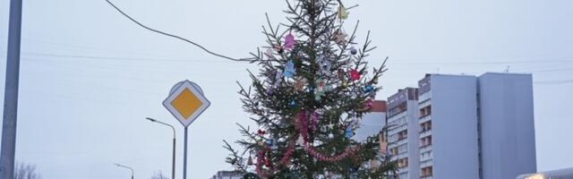 Середина декабря в Латвии оказалась на четыре градуса теплее нормы