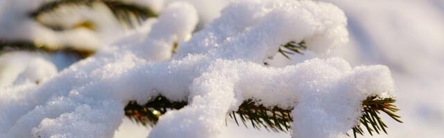 Холодные выходные: в ближайшие дни ожидается до 31 градуса мороза