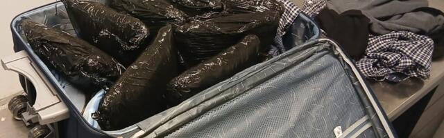 В Таллиннском аэропорту задержаны двое граждан Испании по подозрению в перевозке наркотиков