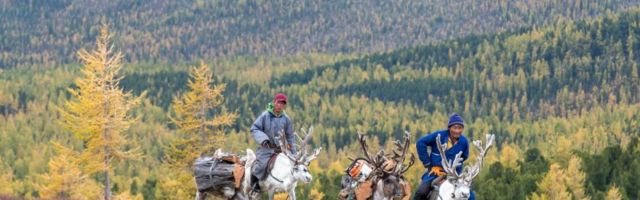 В Монголии карантин. Там зафиксировали вспышку чумы