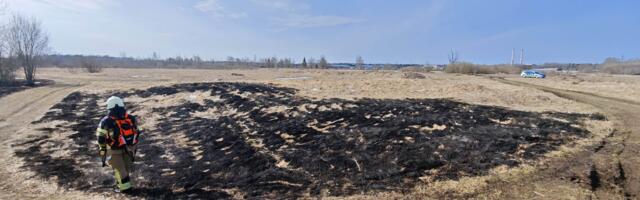 Спасатели напоминают о важных правилах при разведении костра на природе