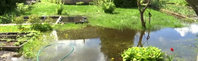 Нарва запустила пилотный проект по использованию дождевой воды в садовых товариществах