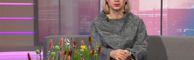 "Летний горизонт": День Независимости Украины, "Балтийская цепь" и юридические консультации