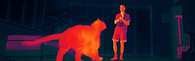 PÖFF-2025: конкурс дебютных фильмов интригует