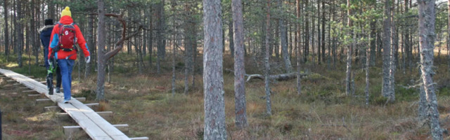 Статистика: самая низкая ожидаемая продолжительность жизни – в Ида-Вирумаа и Вырумаа